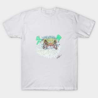 Pufferfish T-Shirt